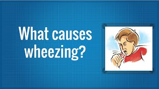 What Causes Wheezing [upl. by Deach793]