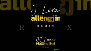 DJ Levano  Mallëngjimi Vendi im House song music muzikshqip remix albanianmusic [upl. by Tterrag]