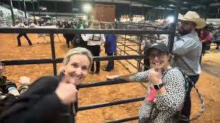 Steer Show Showmanship 2024 County Fair [upl. by Rebor334]