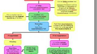 USMLE ALGORITHMS Cushing Syndrome [upl. by Wildermuth]