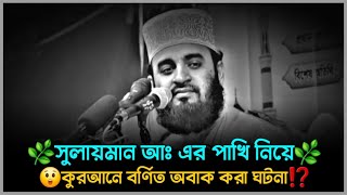 😓সুলায়মান আঃ এর পাখি নিয়ে অবাক করা ঘটনা⁉️ মিজানুর রহমান আজহারি ওয়াজ  mizanur rahman azhari new waz [upl. by Harak34]