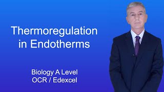 A Level Biology Revision Year 13 quotThermoregulation in Endothermsquot [upl. by Mamoun571]