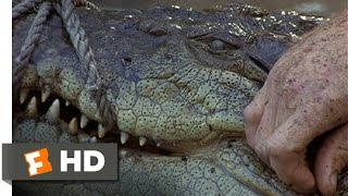 Top 10 Largest Crocodiles Ever Recorded [upl. by Zaria]