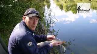 Intro to Coarse Fishing Part One  Whip Fishing [upl. by Gillette111]