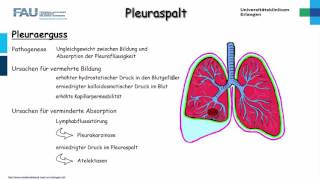 Chirurgie ─ Pleuraspalt Teil 12 [upl. by Nidya984]