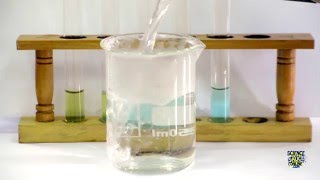 Food Tests  Iodine Biuret Benedicts Ethanol DCPIP [upl. by Alyosha]