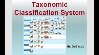 Taxonomic Classification [upl. by Ettennahs760]