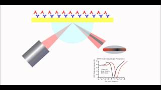 Surface Plasmon Resonance Explained [upl. by Ellohcin]