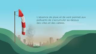 Air pollution processes and impacts French [upl. by Azzil529]