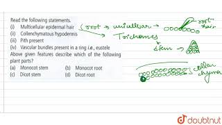 Read the following statementsi Multicellular epidermal hair ii Collenchhymatous [upl. by Alisan747]