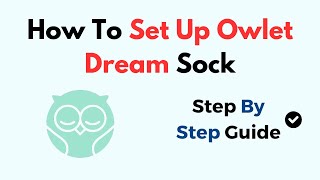 How To Set Up Owlet Dream Sock [upl. by Rengia176]