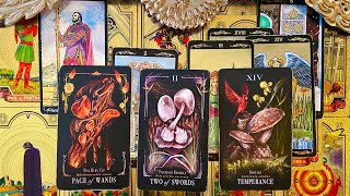 SAGITTARIUS MARCH MONTHLY 2024 TAROT READING LET THE NEW JOURNEY BEGIN [upl. by Aracahs192]