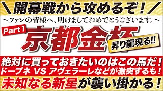 京都金杯 2024【予想】絶対に買っておきたいのはこの馬だ！ドーブネ VS アヴェラーレなどが激突するも！未知なる新星が襲い掛かる！ [upl. by Fraser595]