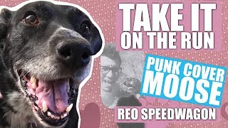 REO Speedwagon  Take It On The Run Pop Punk cover by Punk Cover Moose [upl. by Server]