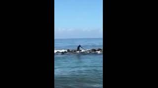 MAN EATEN BY CROCODILE IN PORTMORE HELLSHIRE FULL VIDEO [upl. by Averat958]