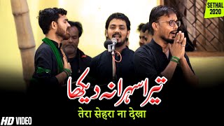 Tera Sehra Na Dekha  Anjuman Sipahe Hussaini Bhanauli Sadat Sultanpur  Noha Tera Sehra Na Dekha [upl. by Itsim]