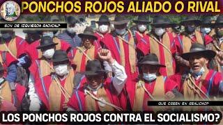 PONCHOS ROJOS DE BOLIVIA SE LEVANTAN ENEMIGOS O AMIGOS DE LA LIBERTAD  Alele en Bolivia [upl. by Lonne]