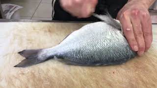 Çipura Balığı Nasıl Temizlenir  Fillet Seabream [upl. by Lynelle131]