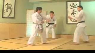 SKIF Jiyu Ippon Kumite [upl. by Tomaso]