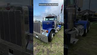 Peterbilt 379 Day Cab Walkaround HeyBlueball aim24 [upl. by Nadine]