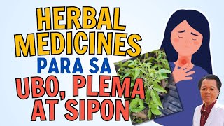 Herbal Remedies sa Ubo Plema at Sipon Payo ni Doc Willie Ong [upl. by Irafat]