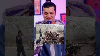 When video reach wrong audience ot 250  Funny instagram comments  Ankur khan [upl. by Eelyek]