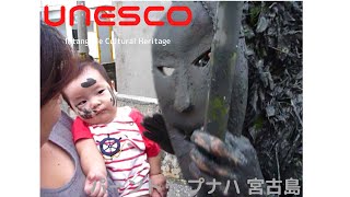 UNESCO Intangible Cultural Heritage God smears smelly mud Documentary film パーントゥプナハ 宮古島 [upl. by Ymor161]