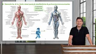 Anatomie I Obere Extremität Gefäße Übersicht Aa amp Vv OE I Prof Dr med Wirth [upl. by Cottle]