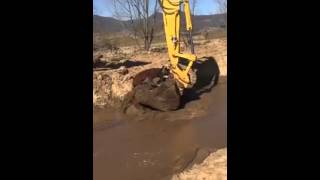 Excavator Operator carefully rescues a Cow from the mud [upl. by Kinna]