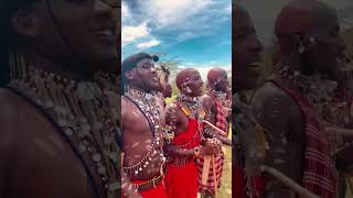 Maasai dance in Maasai Mara africa travel nature dance [upl. by Hamlen70]