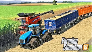 THE FASTEST SUGARCANE HARVEST EVER T9 BEAST  FS19  Lone Oak Farm [upl. by Nort837]