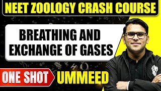 BREATHING AND EXCHANGE OF GASES in 1 Shot All Concepts Tricks amp PYQs  NEET Crash Course  UMMEED [upl. by Mit625]