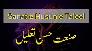 Sanat e husun e taleel ki tareef  Urdu Grammar  صنعت حسن تعلیل کی تعریف [upl. by Elisa]