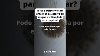 Tosse persistente com presença de catarro e sangue reels shorts microbiologia [upl. by Nuawed]