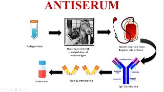 Antiserum An Emergency Tool for Saving Lives [upl. by Alegna291]