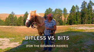 ARE BITS BAD IS RIDING BITLESS BETTER [upl. by Crowell]