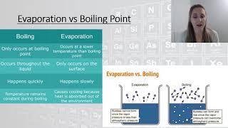 Evaporation vs Boiling Point [upl. by Anyak129]