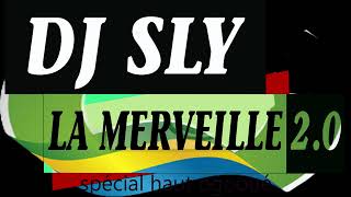 GABON SPECIAL HAUT OGOOUE dj sly la merveille 2 0 [upl. by Annailuj375]