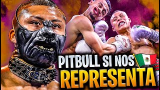 LOCURA PITBULL CRUZ DESTROZA A ROLLY ROMERO [upl. by Doherty]