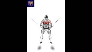 Best Upper Chest Exercise At Gym viral ytshort exercise chest fitnessvloger2003 [upl. by Sylas]