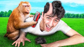 Letting a REAL Monkey Control My Life for 24 HOURS [upl. by Earissed21]