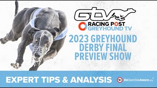 Greyhound Derby Final 2023 Preview Show  Racing Post [upl. by Odelinda]