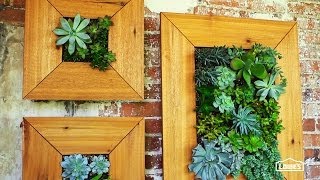 DIY Vertical Succulent Garden [upl. by Nagah]