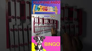 🐕BINGO Canción Infantil en Xilofono short tutorial [upl. by Annoif737]