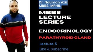 PARATHYROID GLAND  ENDOCRINAL PHYSIOLOGY  DR NAUMAN AZIZ  2023 [upl. by Nohsid]