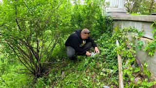 FOUND HUMAN REMAINS BURIED in this Elderly Ladies Overgrown Yard [upl. by Ailla134]