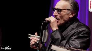 Rick Estrin amp The Nightcats live at WHF2013  Callin all Fools [upl. by Garvey]