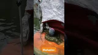 Ganga dharay shiv ganga dharaymahadev status har [upl. by Murdocca151]