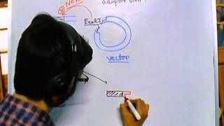 Difference between linker and adaptor DNA [upl. by Ytissac]