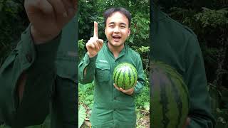 Boy steals gorillas watermelon outdoors shorts survival camping [upl. by Aleb]